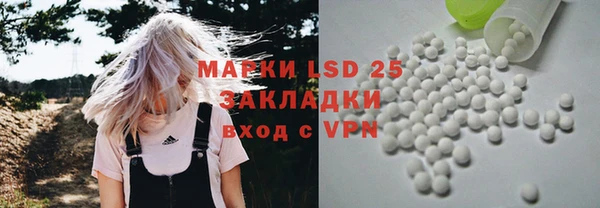 стафф Бородино