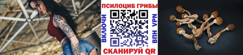 Псилоцибиновые грибы мицелий  магазин  наркотиков  mega маркетплейс  Наро-Фоминск 